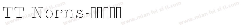 TT Norns字体转换
